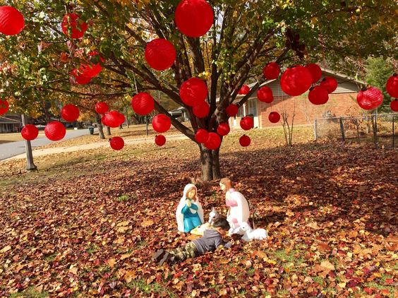 December Shoot, Send and Win Winner