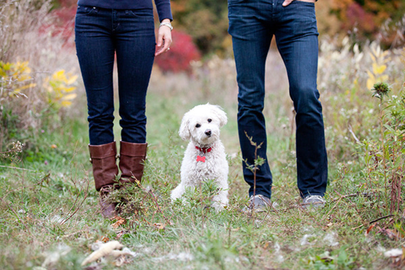 Inspiring Engagement Photos With Your Dog