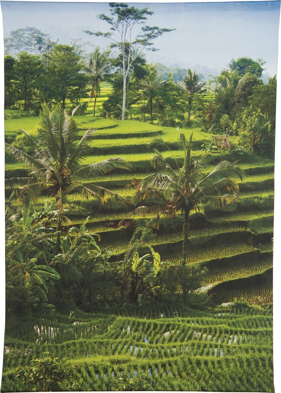 BLOWOUT Bali Rice Terraces Photo Tapestry - (Medium, 4 X 5.8 Feet, 100% Cotton, Fair Trade Certified) - PaperLanternStore.com - Paper Lanterns, Decor, Party Lights & More