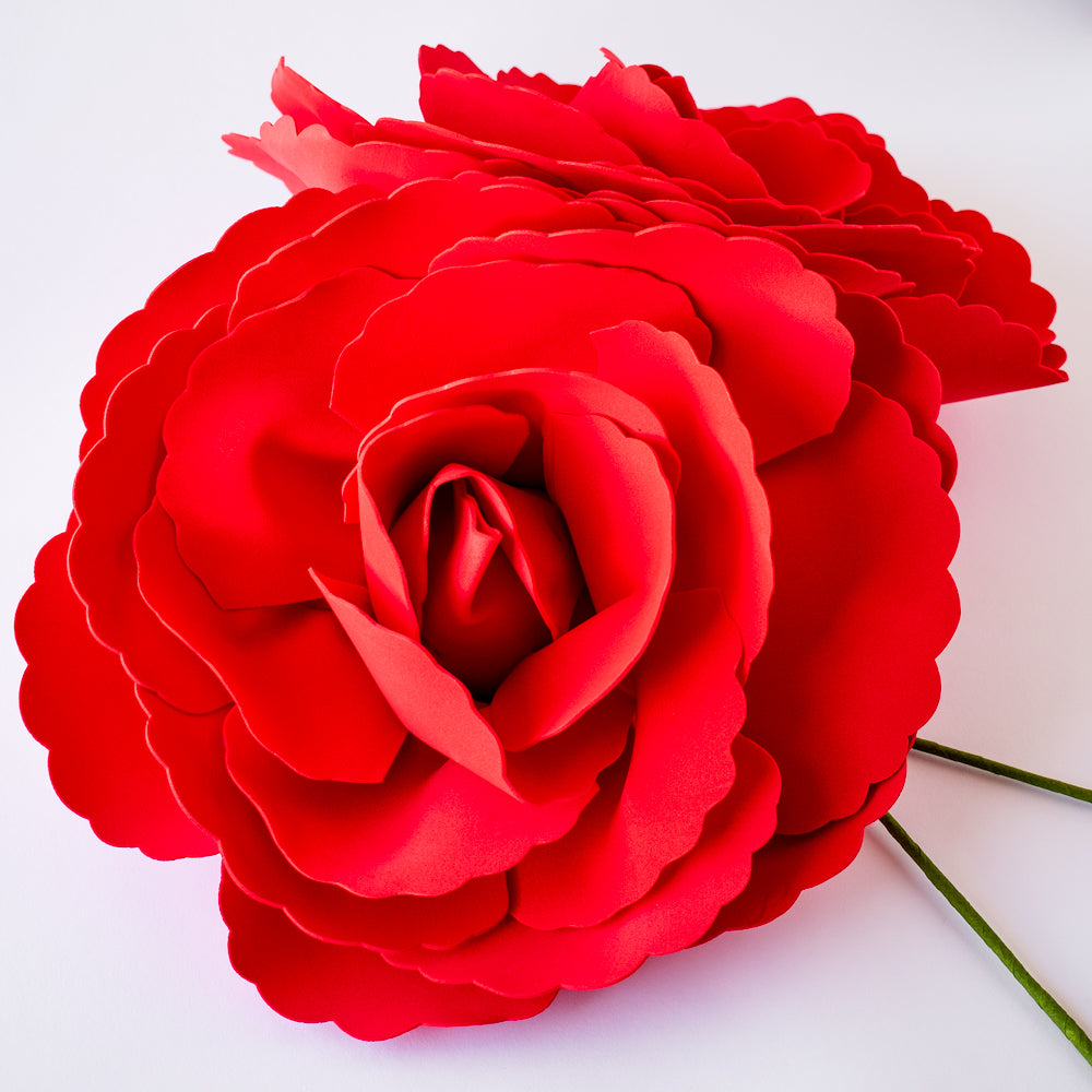 Giant 16" Red Tea Rose Foam Flower Backdrop Wall Decor, 3D Premade (2-PACK) for Weddings, Photo Shoots, Birthday Parties and more - PaperLanternStore.com - Paper Lanterns, Decor, Party Lights & More