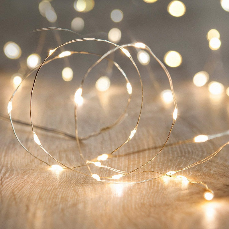 7.5 FT | 20 LED Battery Operated Warm White Fairy String Lights With Silver Wire - PaperLanternStore.com - Paper Lanterns, Decor, Party Lights &amp; More