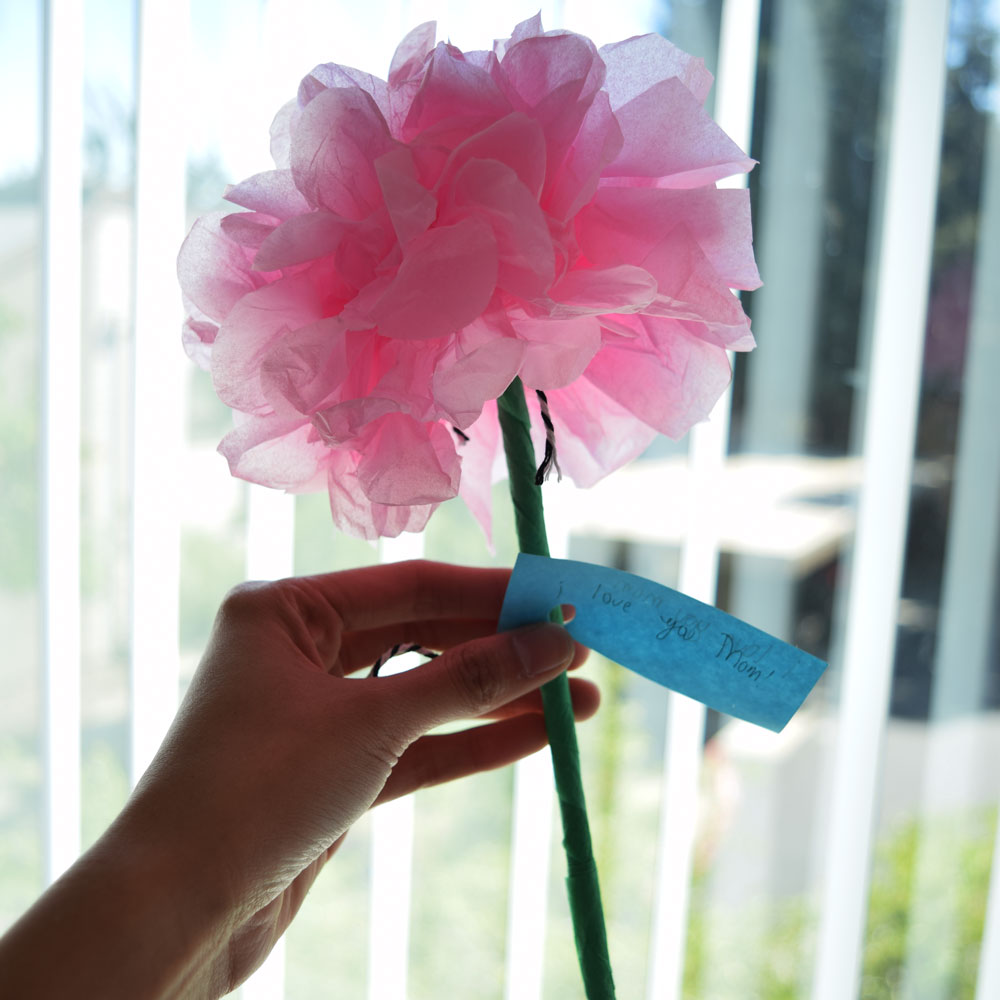 DIY Mother's Day Flowers