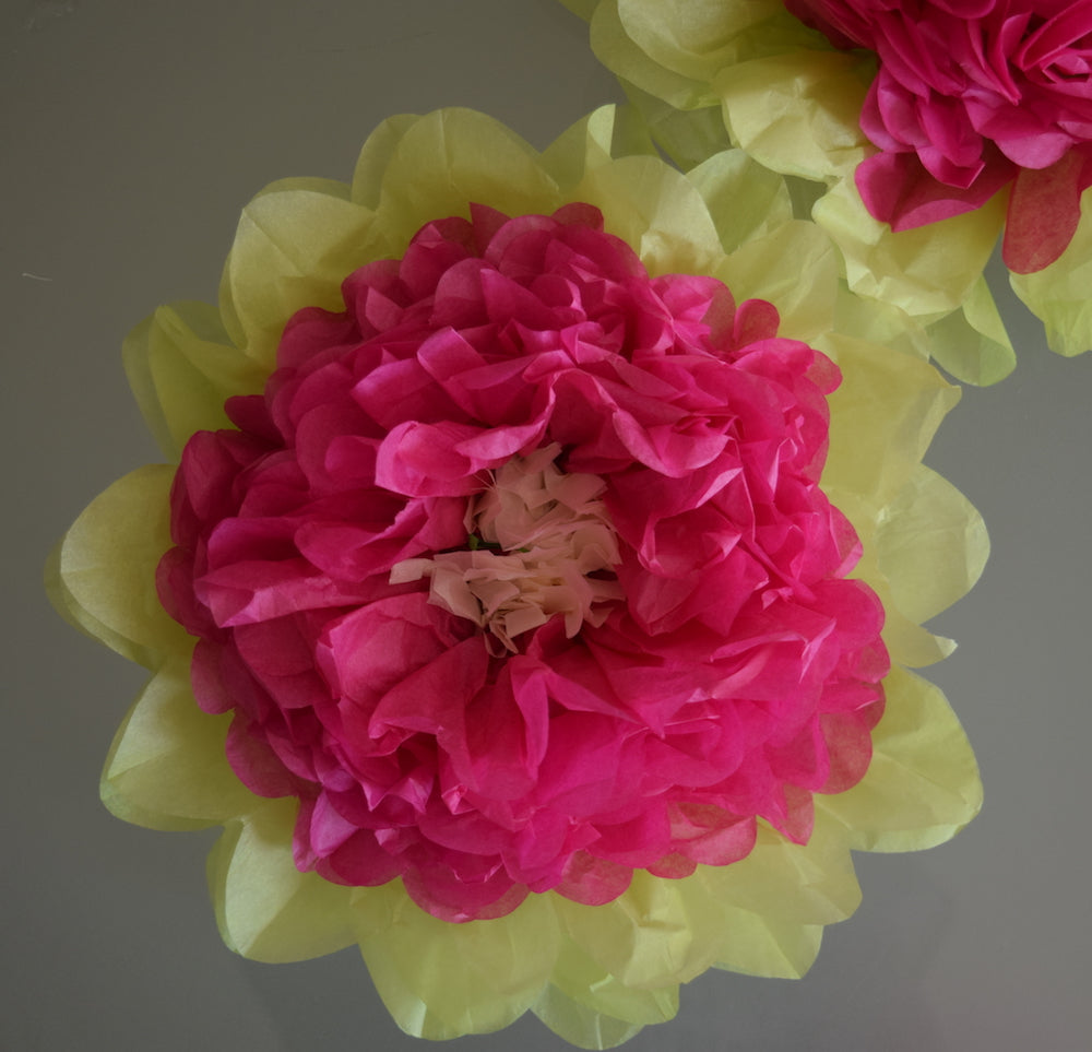 Fluffing Your Paper Tissue Flower Pom Poms