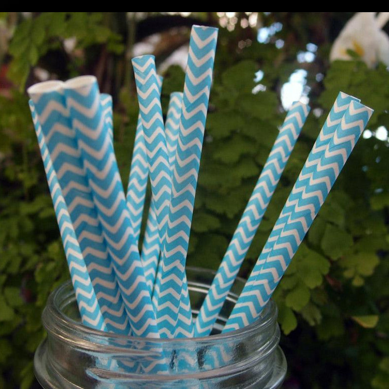 Chevron Paper Straws