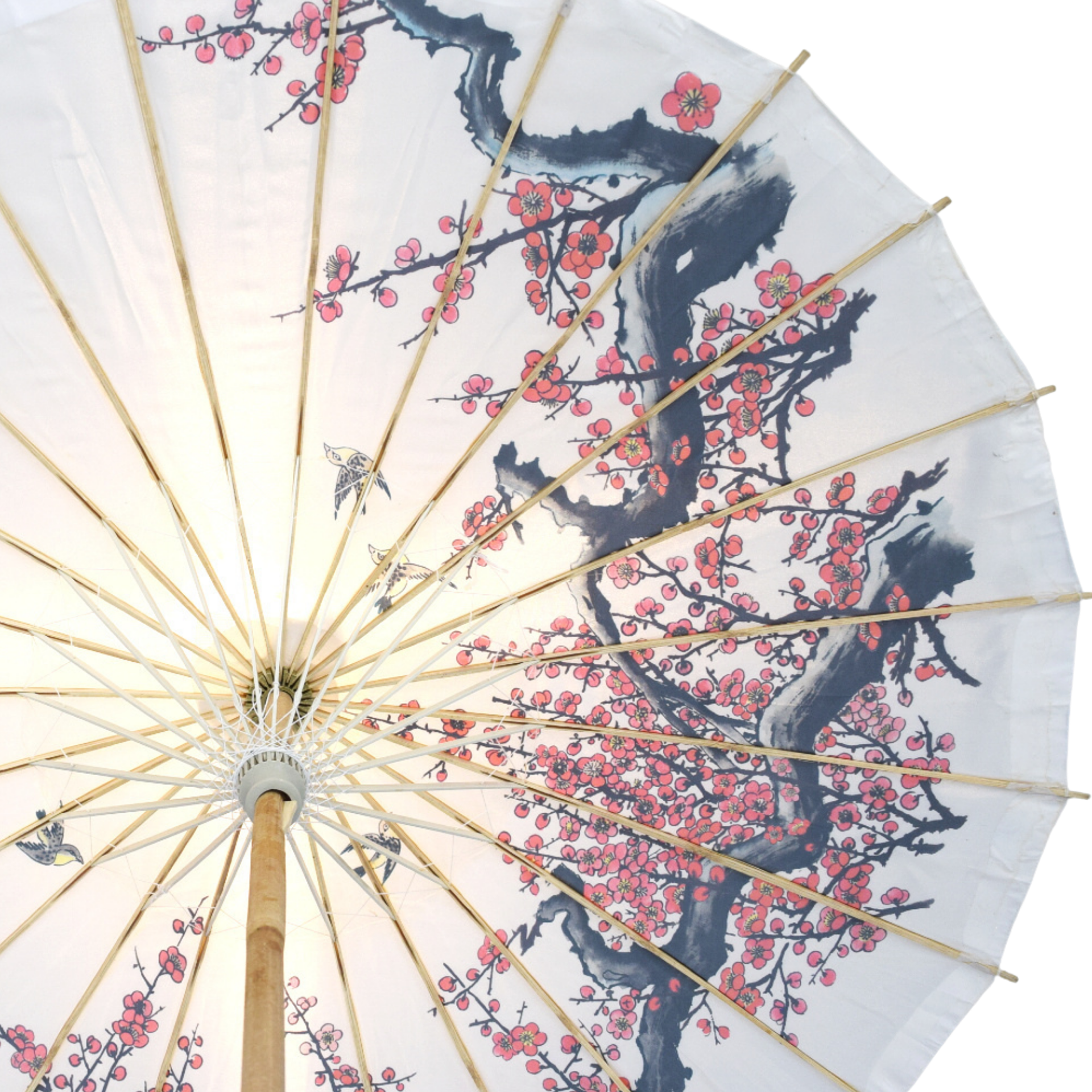 32" Cherry Blossom Birds Premium Nylon Parasol Umbrella with Elegant Handle