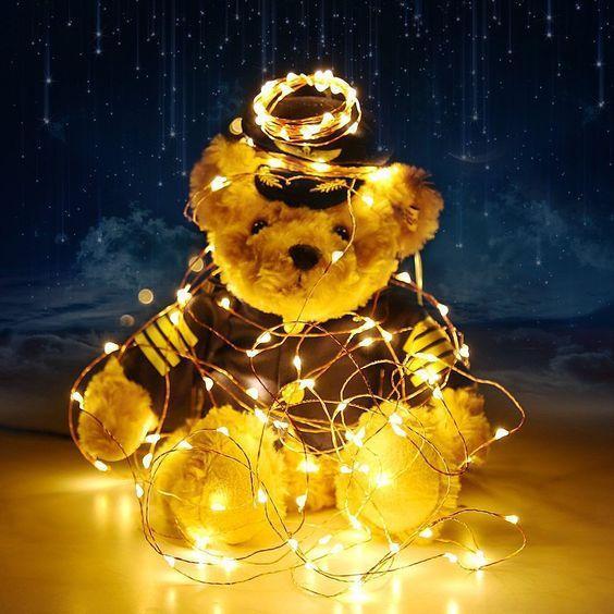 Electric String Lights with 10 Nylon Lanterns (Silver) 