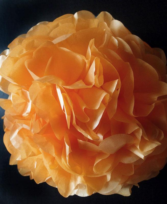 EZ-Fluff 20&quot; Peach / Orange Coral Tissue Paper Pom Poms Flowers Balls, Hanging Decorations (4 PACK) - PaperLanternStore.com - Paper Lanterns, Decor, Party Lights &amp; More