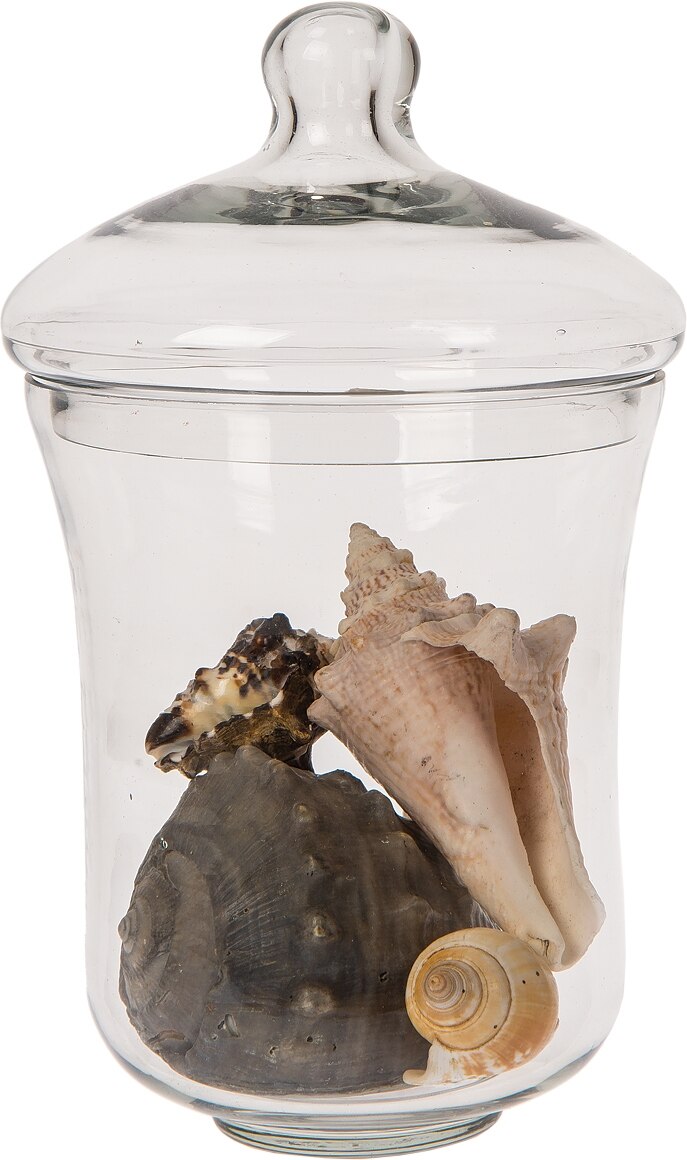 Chervil Large Glass Apothecary Jar - PaperLanternStore.com - Paper Lanterns, Decor, Party Lights &amp; More