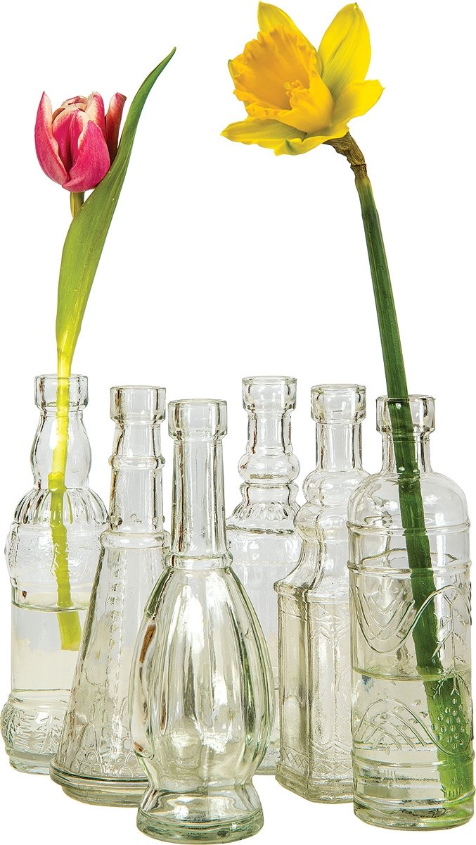Clear Brooklyn Glass Bottle Set - PaperLanternStore.com - Paper Lanterns, Decor, Party Lights &amp; More