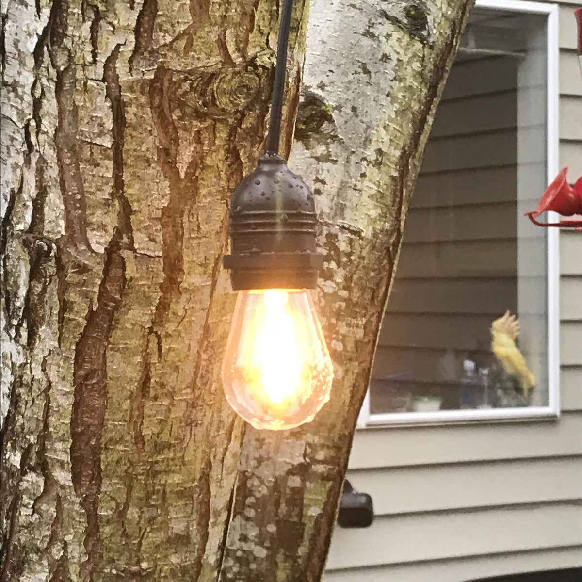 CORD + Shatterproof Bulb | Black Weatherproof Outdoor Pendant Light Lamp Cord Combo Kit, S14 Warm White Bulb