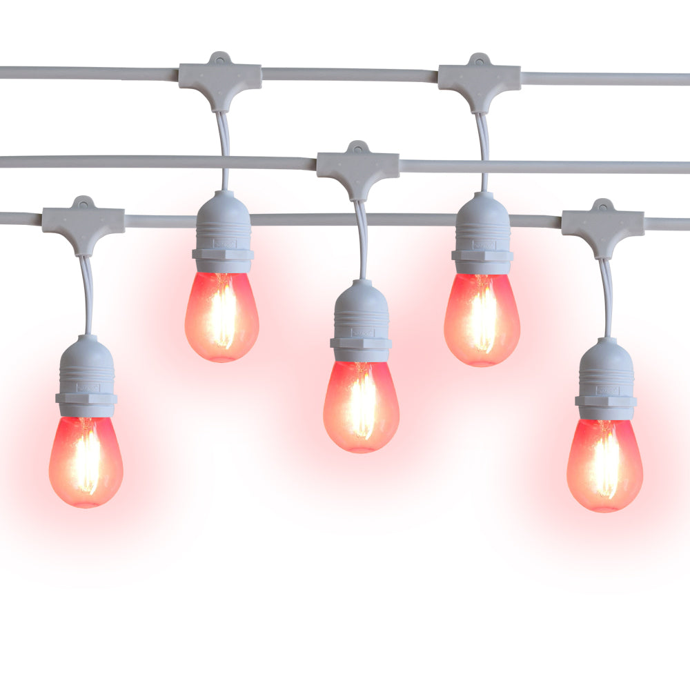 10 Suspended Multi-Color Outdoor Commercial String Light Set, 21 FT Wh -  PaperLanternStore.com - Paper Lanterns, Decor, Party Lights \u0026 More, image size:1000x1000