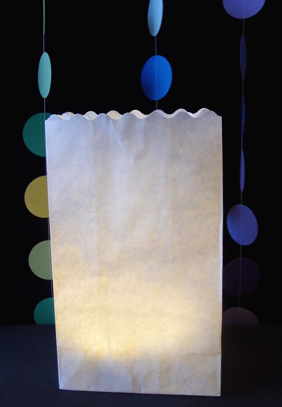 White Solid Color Paper Luminaries Luminary Lantern Bags Path